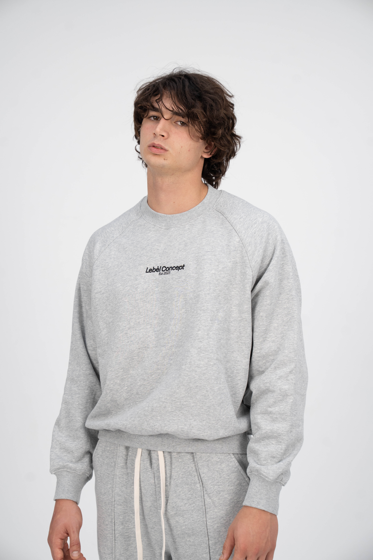 Long Sleeve Sweatshirts Grey